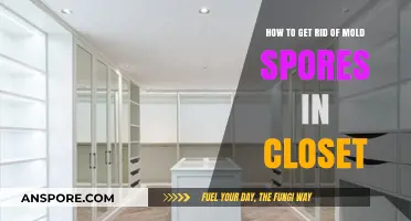 Effective Ways to Eliminate Mold Spores from Your Closet