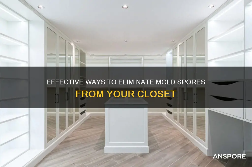 how to get rid of mold spores in closet