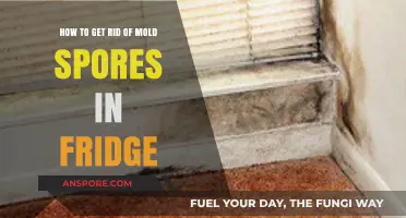 Effective Ways to Eliminate Mold Spores from Your Refrigerator