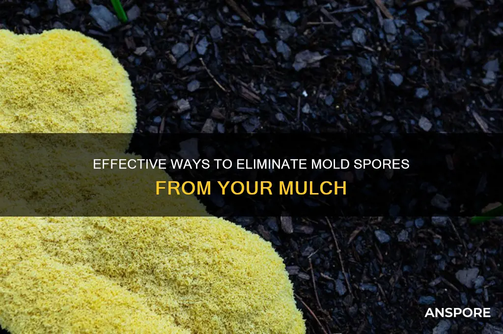 how to get rid of mold spores in mulch