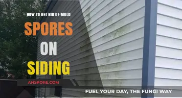 Effective Ways to Eliminate Mold Spores from Your Home's Siding
