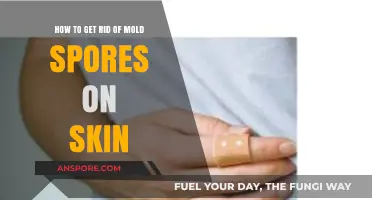 Effective Ways to Remove Mold Spores from Your Skin Safely