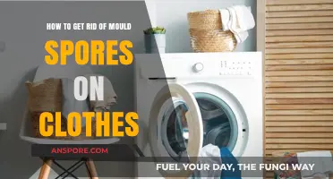Effective Ways to Eliminate Mould Spores from Your Clothes