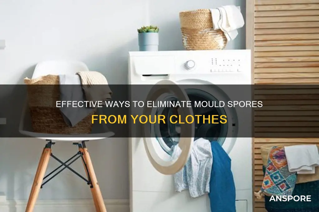 how to get rid of mould spores on clothes