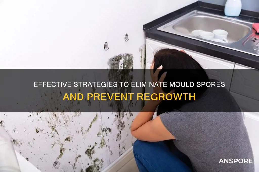 how to get rid of mould spores