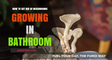 Banish Bathroom Mushrooms: Effective Tips to Eliminate Fungal Growth Fast