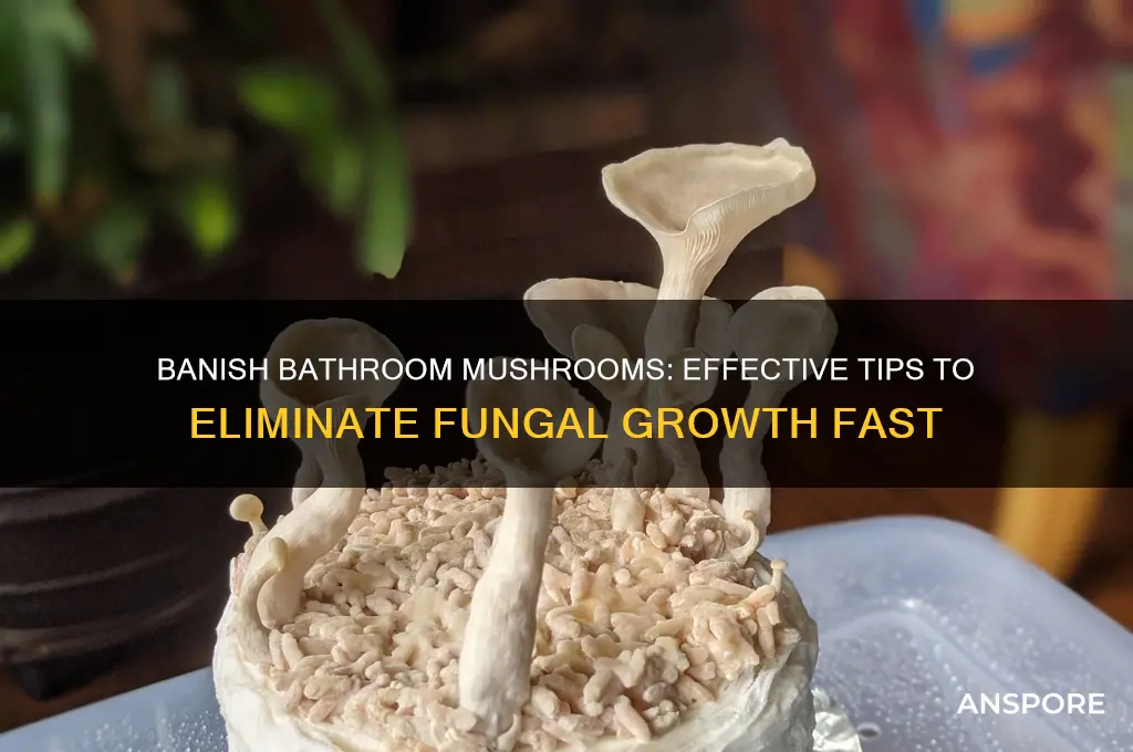 how to get rid of mushrooms growing in bathroom