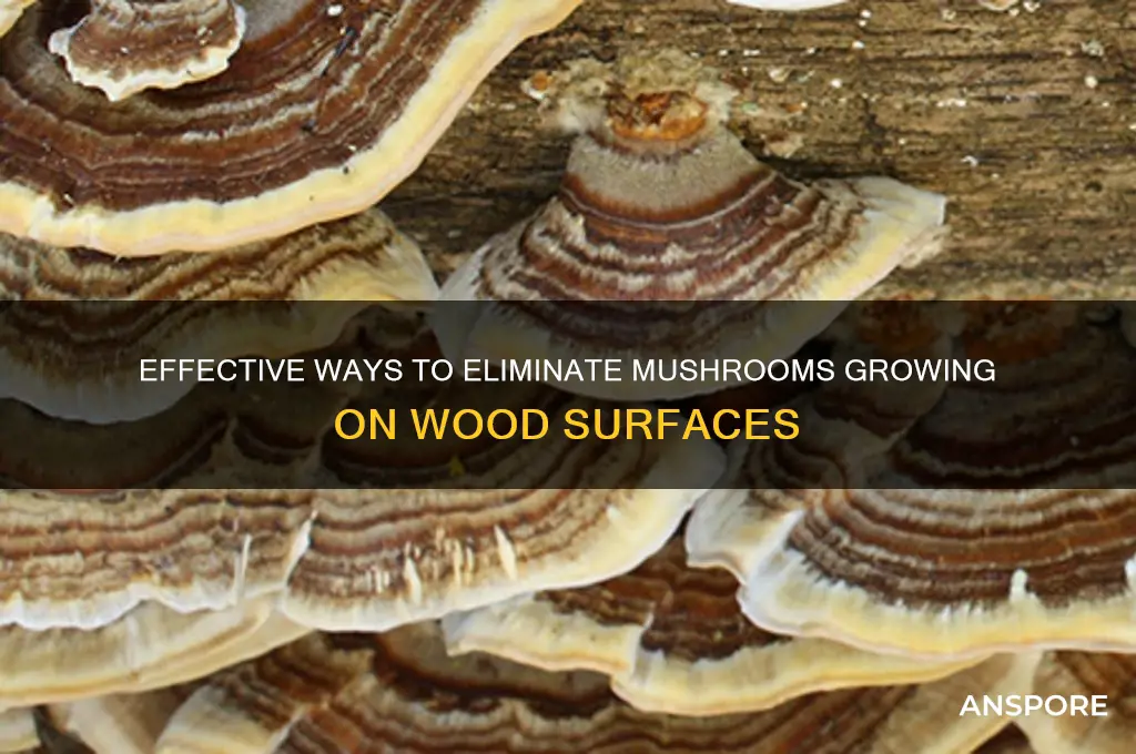 how to get rid of mushrooms growing on wood