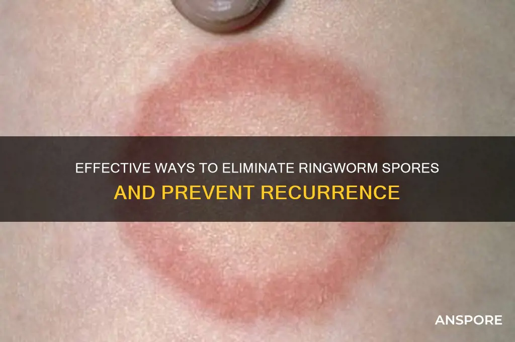 how to get rid of ringworm spores