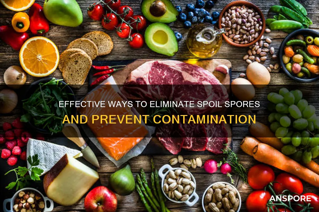 how to get rid of spoil spores