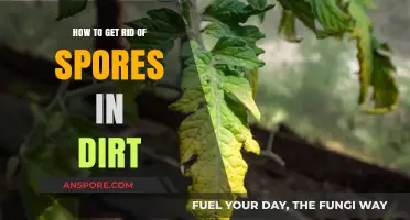 Effective Methods to Eliminate Spores from Your Garden Soil