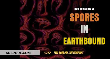 Effective Methods to Eliminate Spores in Earthbound Environments