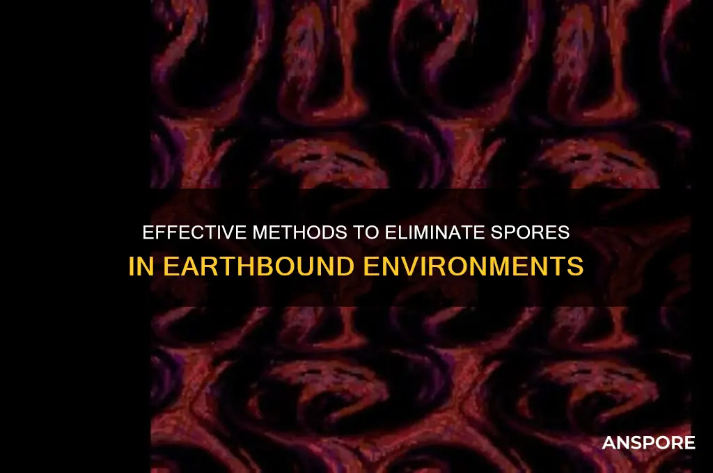 how to get rid of spores in earthbound