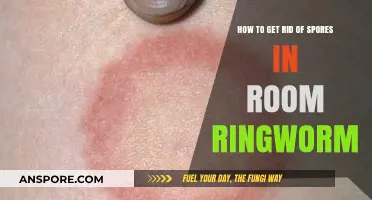 Effective Ways to Eliminate Ringworm Spores from Your Room