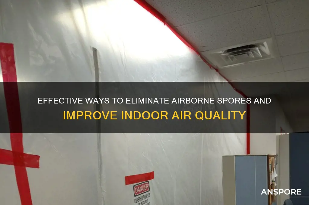 how to get rid of spores in the air