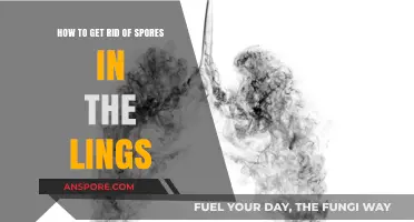 Effective Ways to Eliminate Lingering Spores in Your Lungs Safely