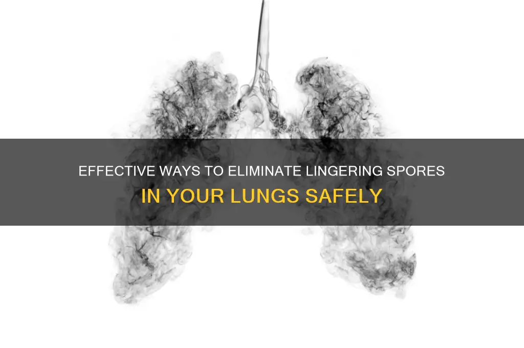 how to get rid of spores in the lings