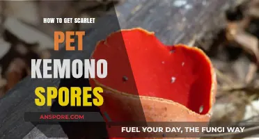 Unlock Scarlet Pet Kemono Spores: A Comprehensive Guide to Acquisition