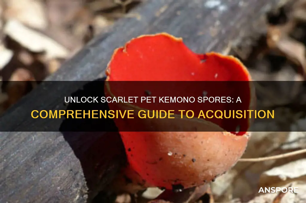 how to get scarlet pet kemono spores