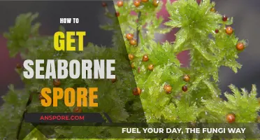 Mastering Seaborne Spore Acquisition: Essential Tips and Techniques Revealed