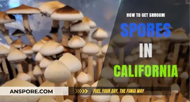 Legal Guide to Obtaining Shroom Spores in California Safely