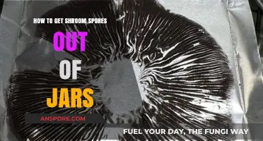 Extracting Shroom Spores from Jars: A Step-by-Step Guide