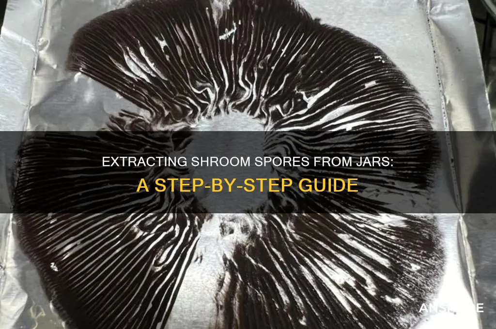 how to get shroom spores out of jars
