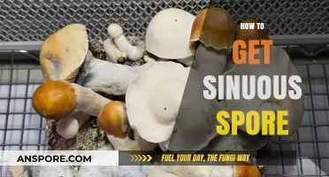 Mastering Sinuous Spore Collection: Essential Tips and Techniques Revealed