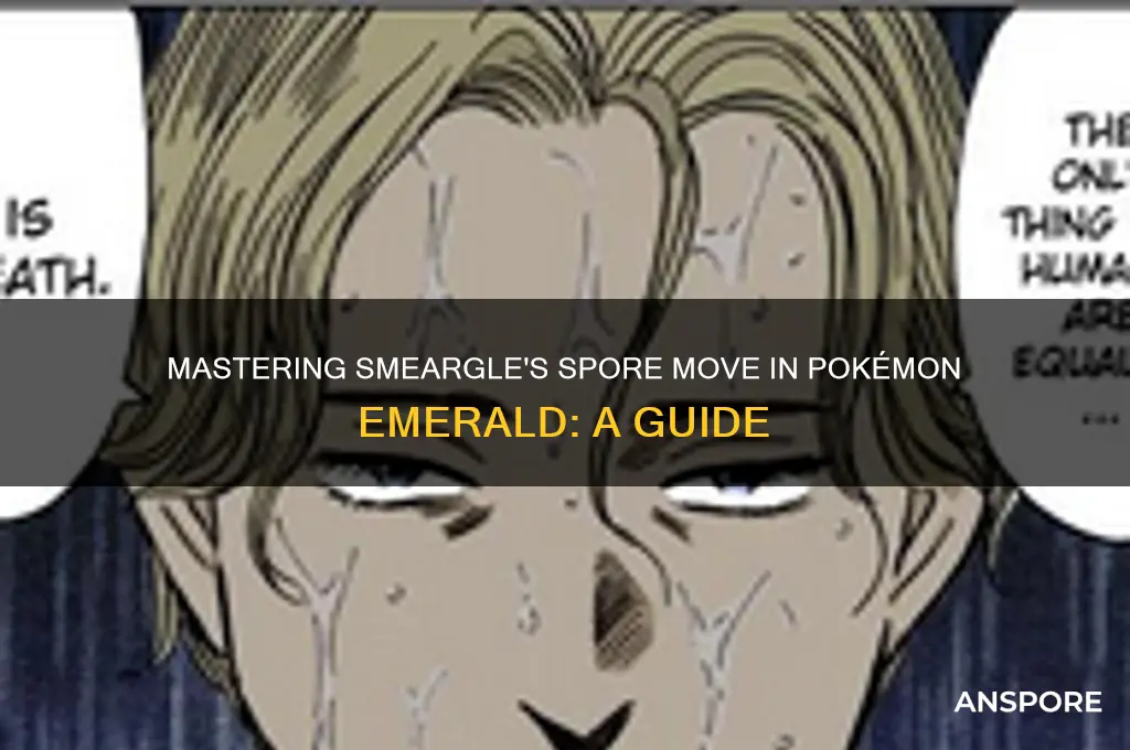 how to get smeargle to learn spore emerald