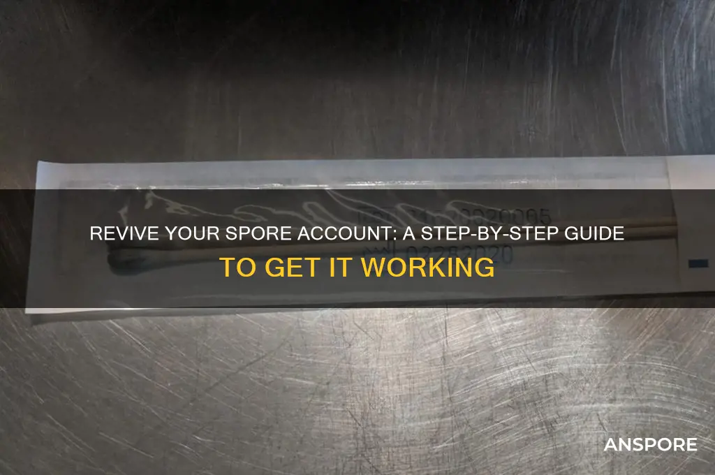 how to get spore account working