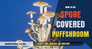 Mastering Spore-Covered Puffshroom Cultivation: Essential Tips and Techniques