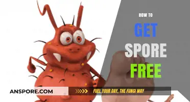 Effective Strategies to Achieve a Spore-Free Environment Safely and Easily