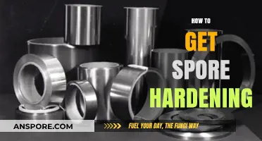 Mastering Spore Hardening: Essential Techniques for Stronger, Healthier Spores