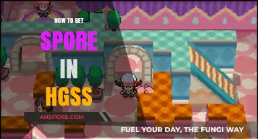 Catching Spore in HGSS: Tips for Obtaining This Rare Move