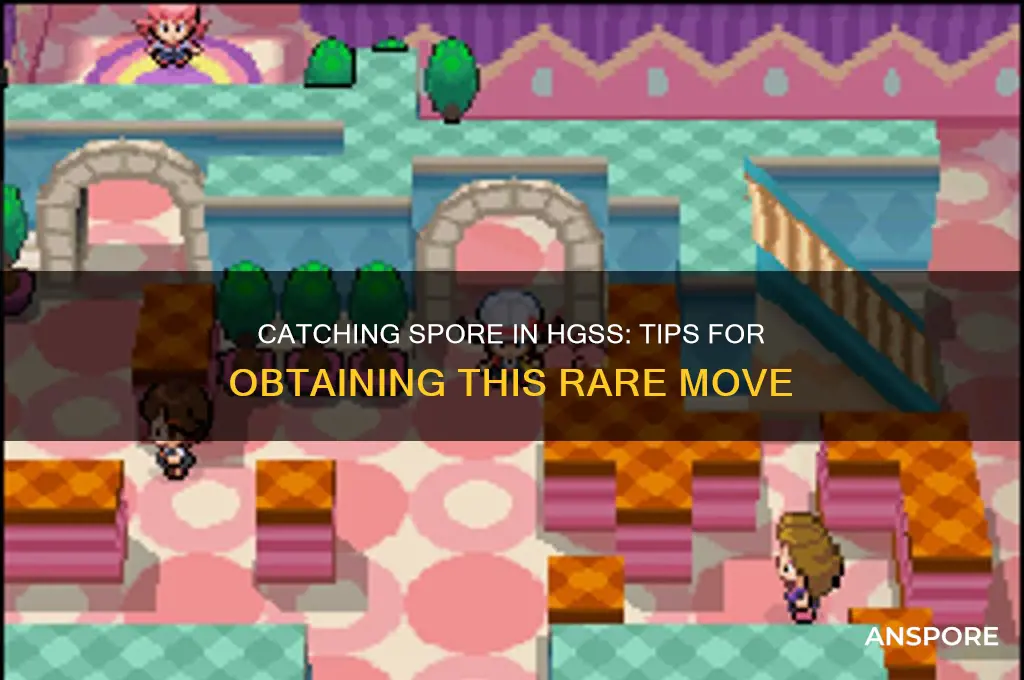 how to get spore in hgss