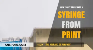 Efficiently Transferring Spore Prints into Syringes: A Step-by-Step Guide