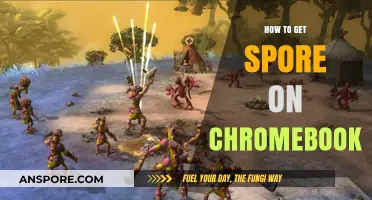 Play Spore on Chromebook: Easy Installation and Setup Guide