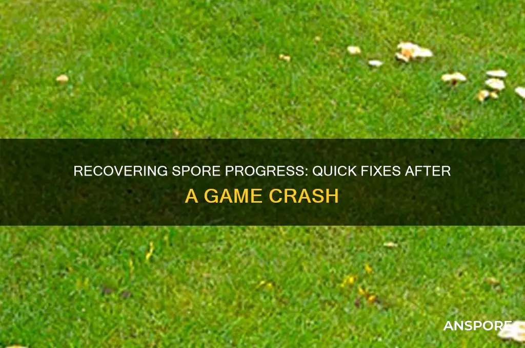 how to get spore progress back after a crash