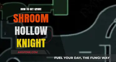 Mastering Hollow Knight: Strategies to Obtain the Spore Shroom