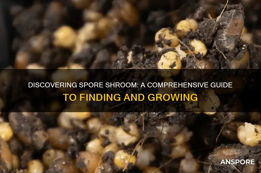 how to get spore shroom