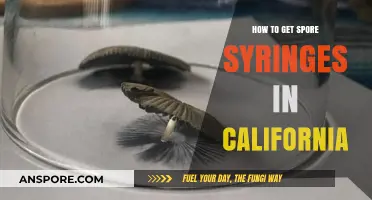 Legal Ways to Obtain Spore Syringes in California: A Guide