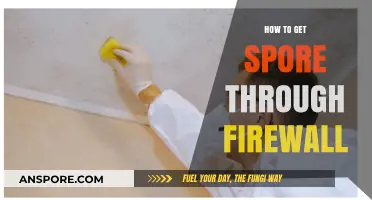 Bypassing Firewall Restrictions: A Guide to Accessing Spore Smoothly