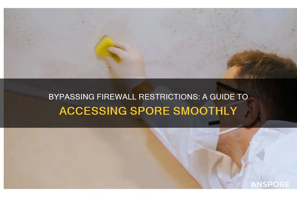 how to get spore through firewall