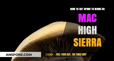 Run Spore on macOS High Sierra: Troubleshooting Guide for Gamers