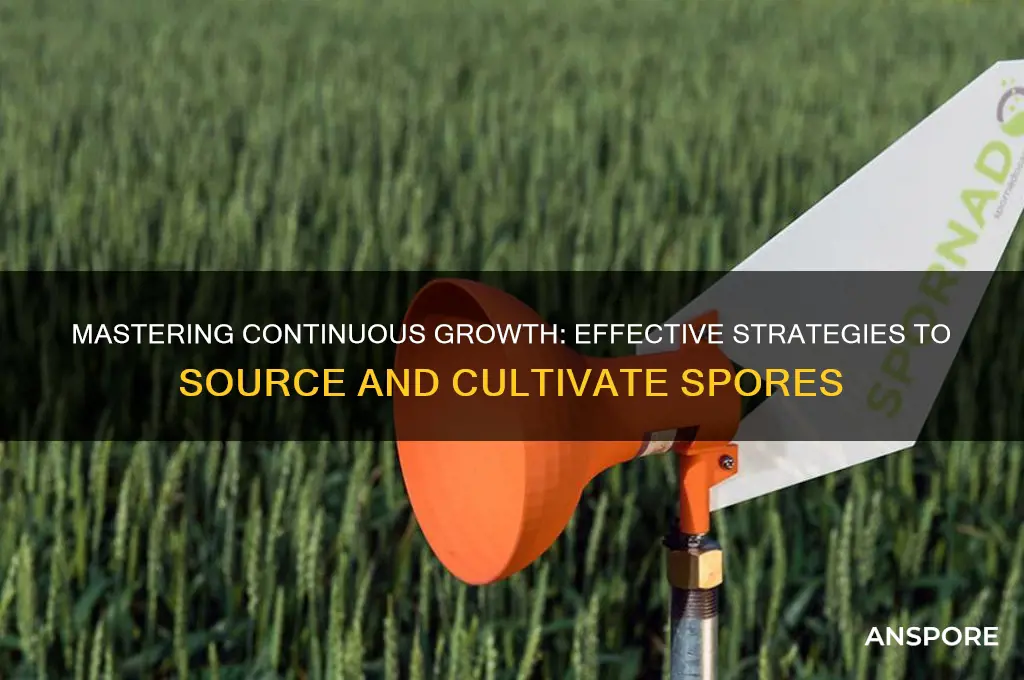 how to get spores for continuous growth