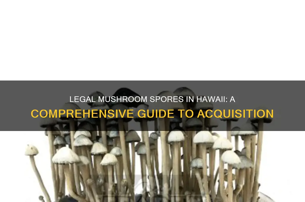 how to get spores legally in hawaii