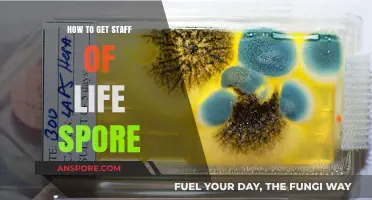 Mastering the Art of Obtaining Staff of Life Spores