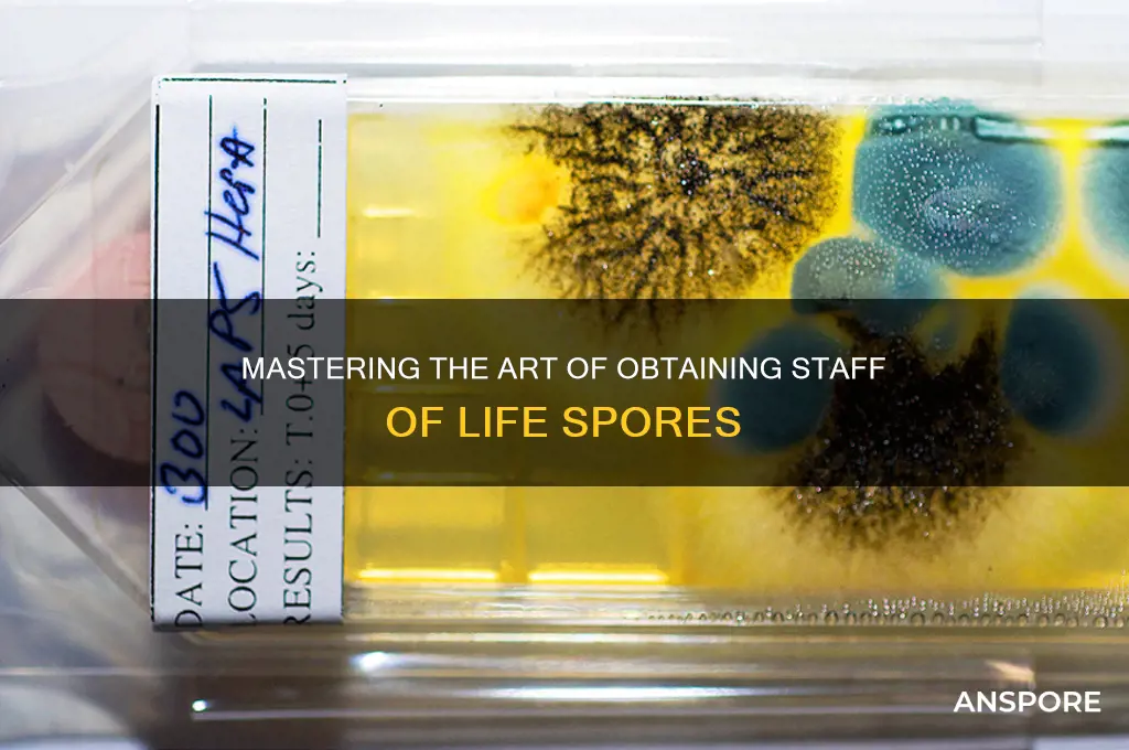 how to get staff of life spore