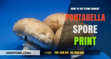 Mastering Portabella Spore Prints: A Guide to Store-Bought Success