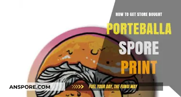 Mastering Portebella Spore Prints: A Guide to Store-Bought Success